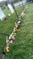 /album/f%c3%aate-du-printemps-2014/imag1772-1-jpg/